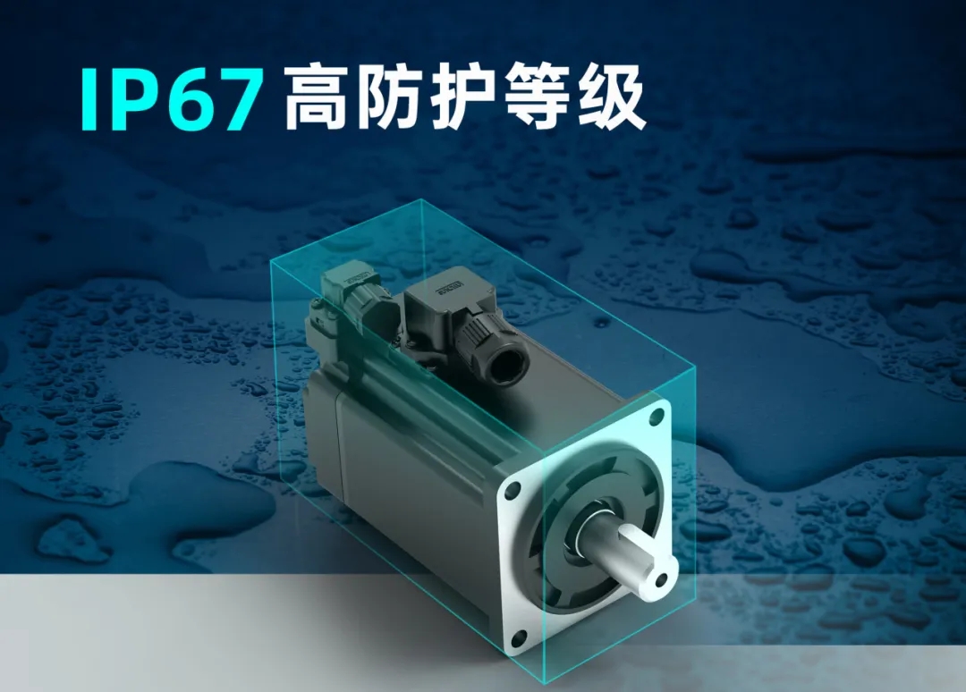 10.webp.jpg 10.webp.jpg